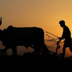 Essay on Indian Farmers in Hindi – भारतीय किसान पर निबंध