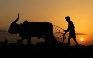Essay on Indian Farmers in Hindi - भारतीय किसान पर निबंध