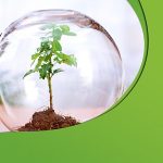 Save Trees Essay in Hindi – पेड़ लगाओ जीवन बचाओ पर निबंध