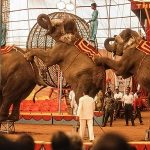 Essay on Circus in Hindi – सर्कस पर निबंध