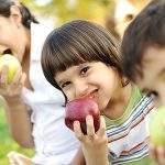 Essay on Apple Tree in Hindi – सेब पर निबंध