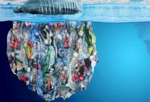 Essay on Plastic Pollution in Hindi
