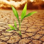 Essay on Soil Pollution in Hindi – मृदा प्रदूषण पर निबंध