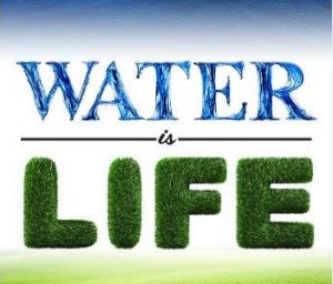 Essay on Water is Life in Hindi