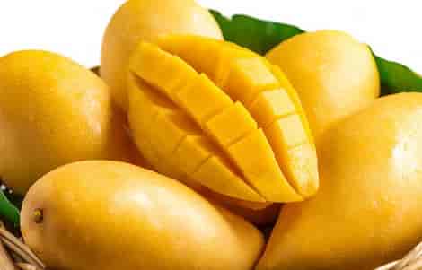 Essay on Mango in Hindi Language
