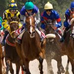 How to Bet on a Horse Race